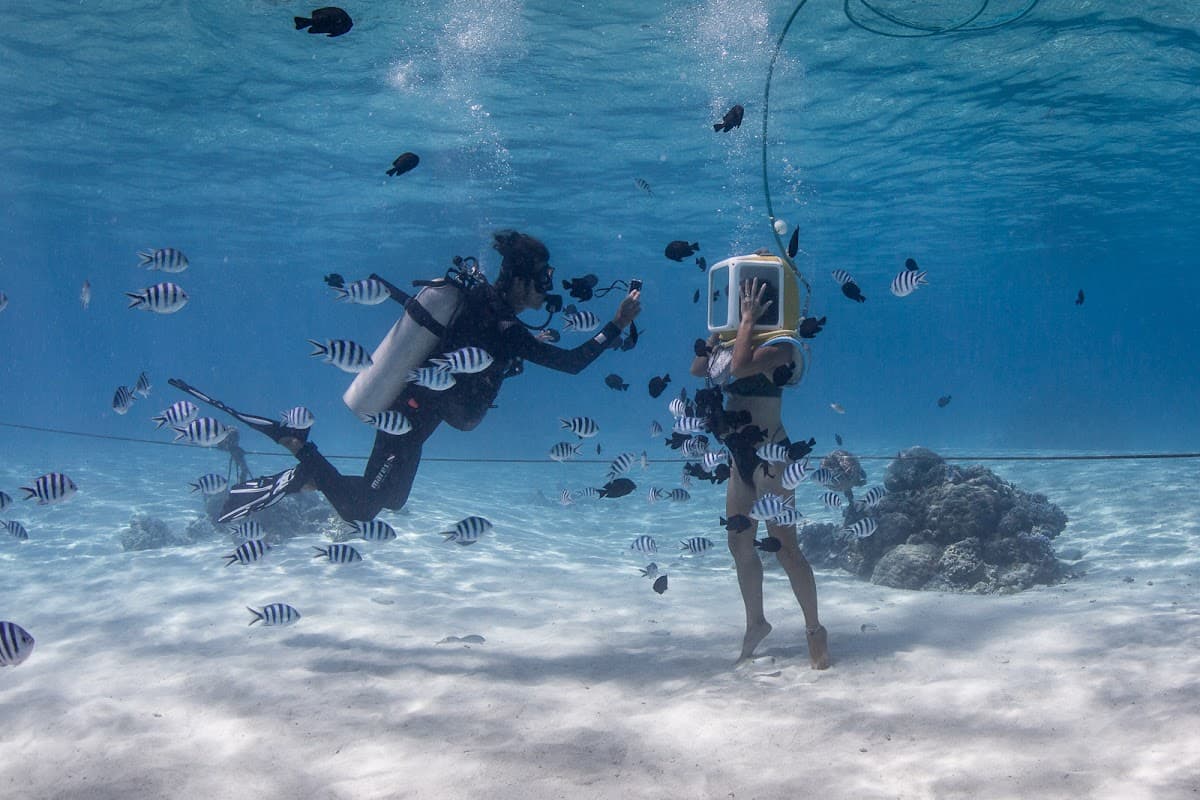 Aqua Safari Dive