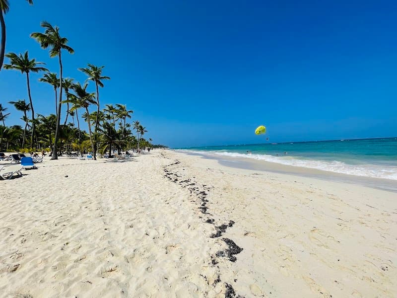 Arena Gorda Beach Lounge