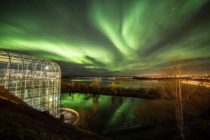 7 Days in Rovaniemi: Arctic Forests, Falls & Northern Lights