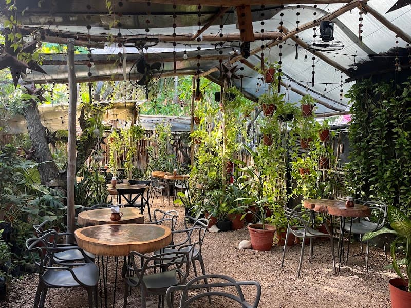 Arte Sano Vegan Restaurant