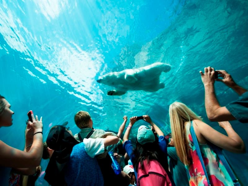 Assiniboine Park Zoo (Optional)