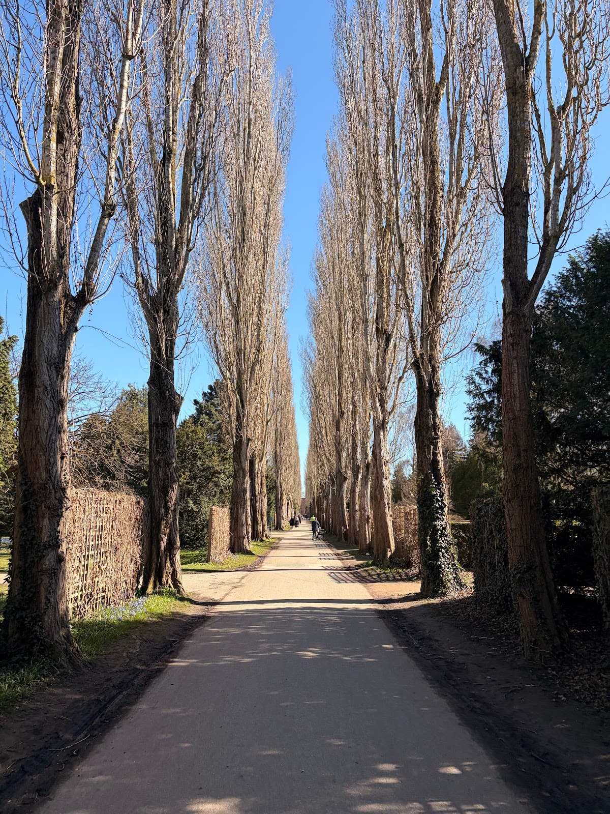 Assistens Cemetery & Nørrebro Streets