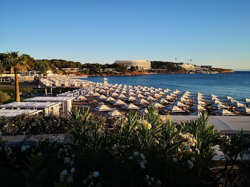 Astir Beach Lounge