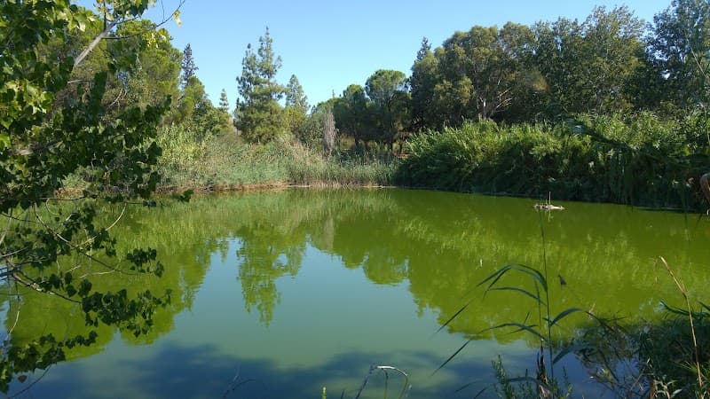 Athalassa National Forest Park