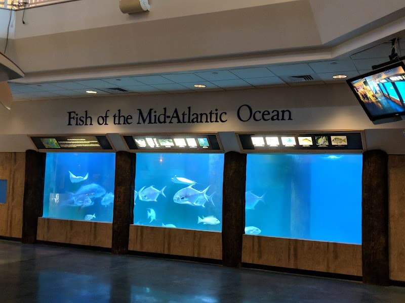 Atlantic City Aquarium (if reopened) / Basin Wildlife Watching
