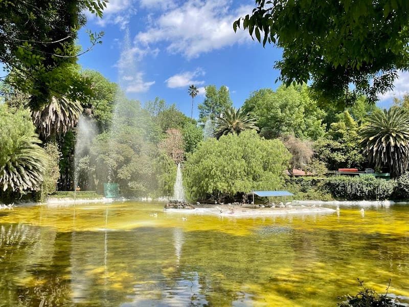 Avenida Amsterdam & Parque México