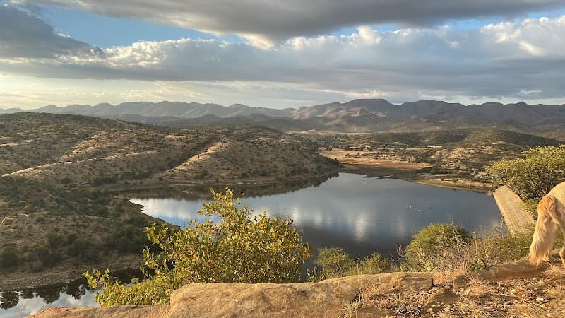 Avis Dam Nature Reserve Walk