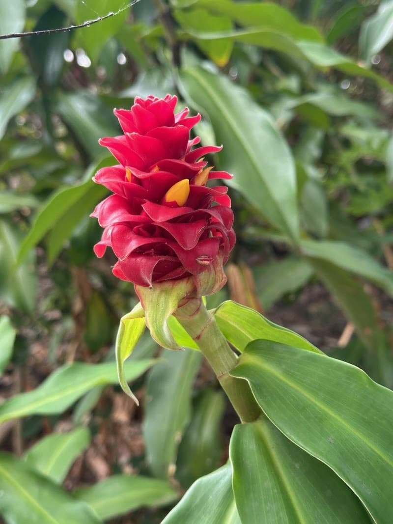 Award Winning Farm Tour