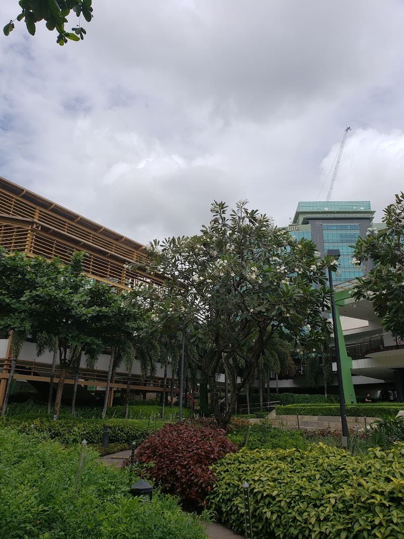 Ayala Center Cebu Free Explore