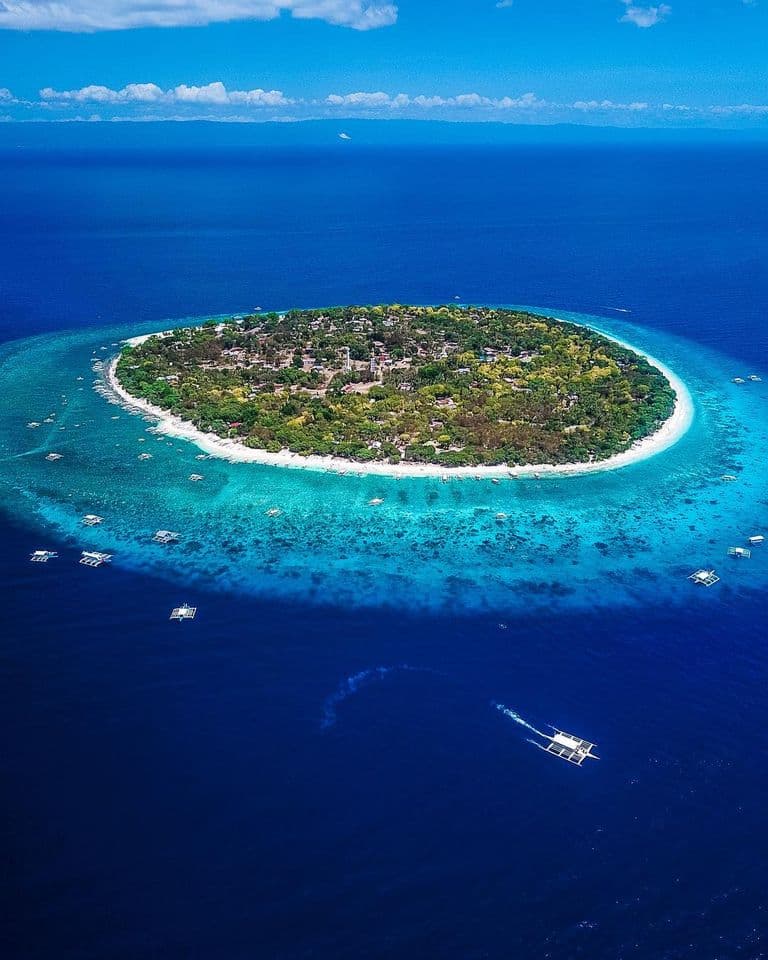Balicasag Island Snorkel