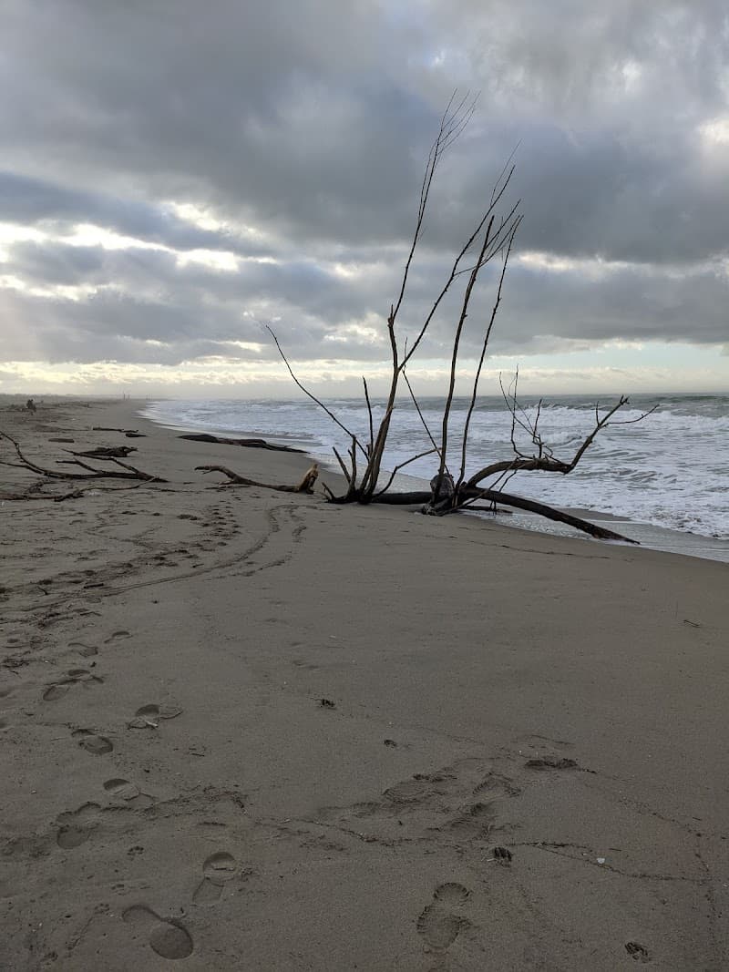 Bar Pasticceria Levante