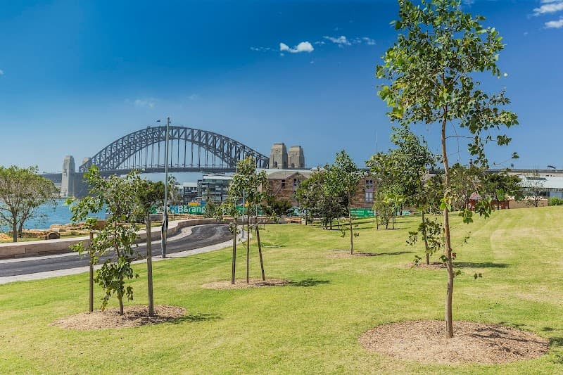 Barangaroo Reserve Evening Walk