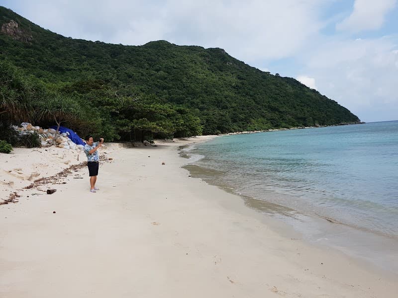 Bay Canh Island Turtle Conservation Tour