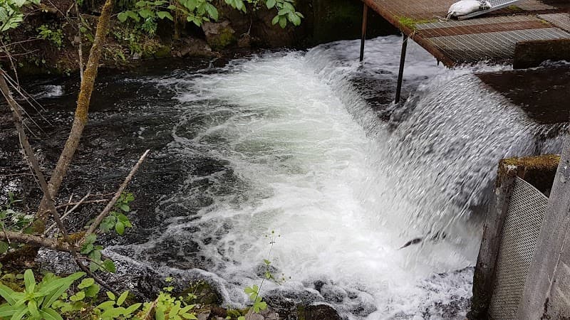 Bear Creek Weir
