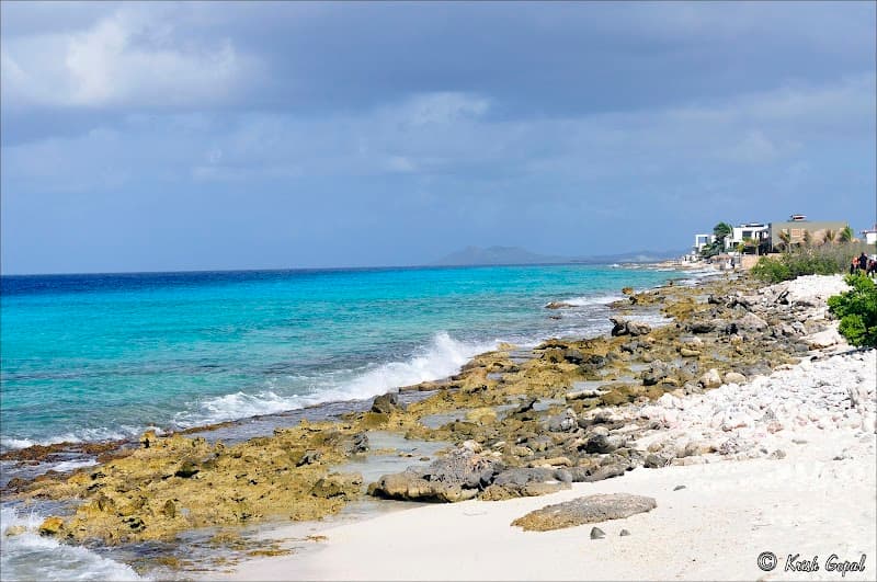 Belnem Coastline Stroll