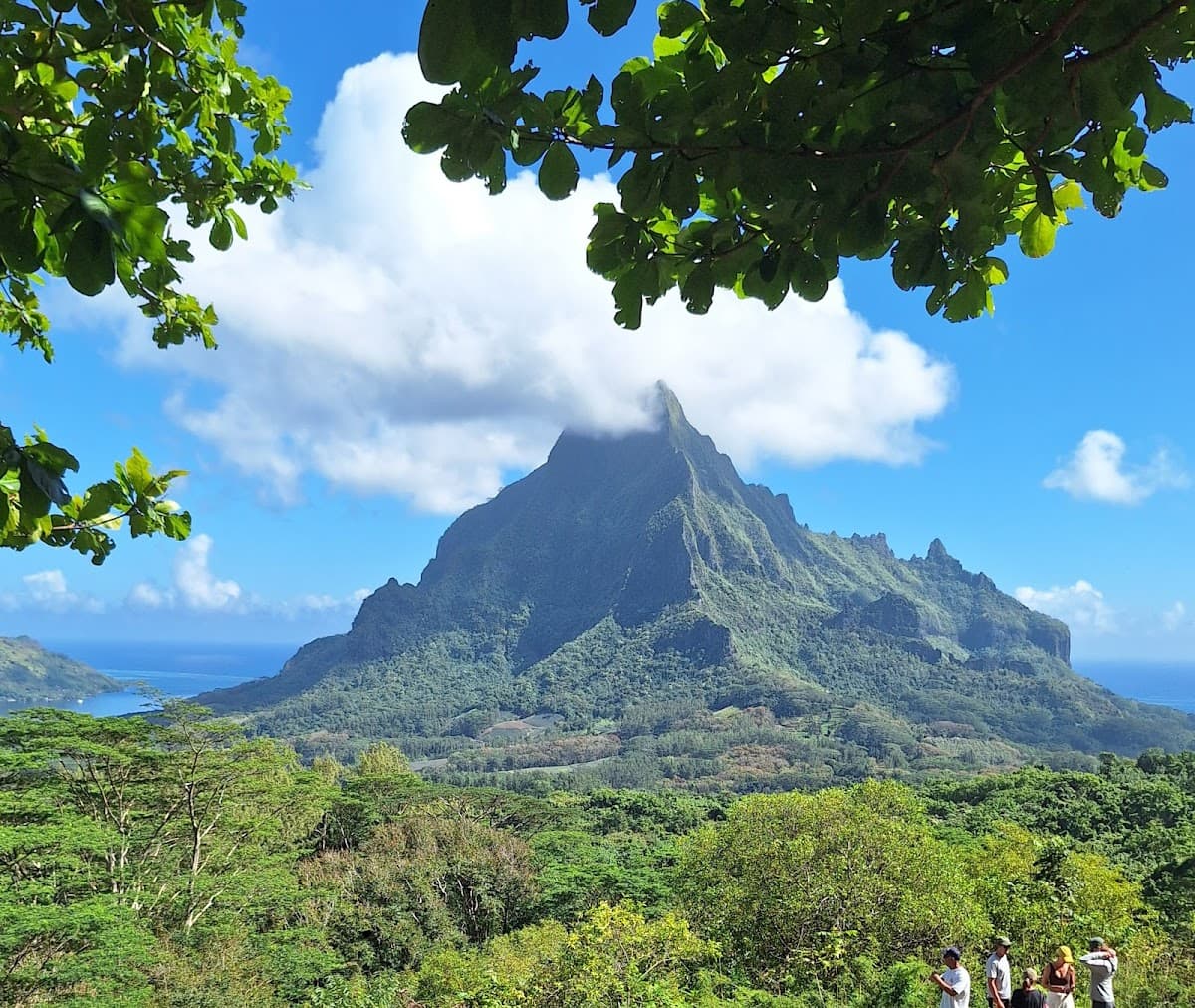 Belvédère Lookout