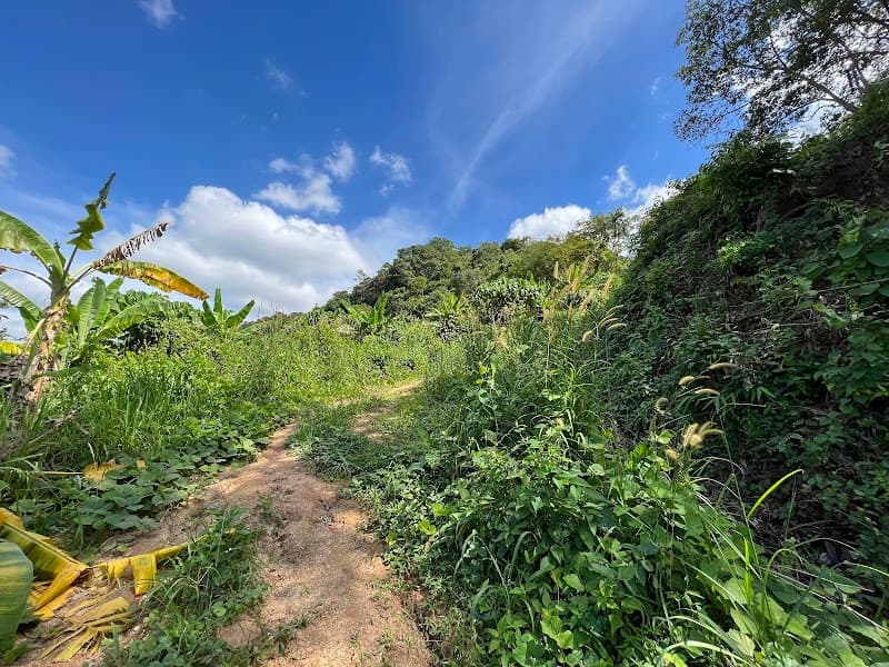 Big Buddha Hike
