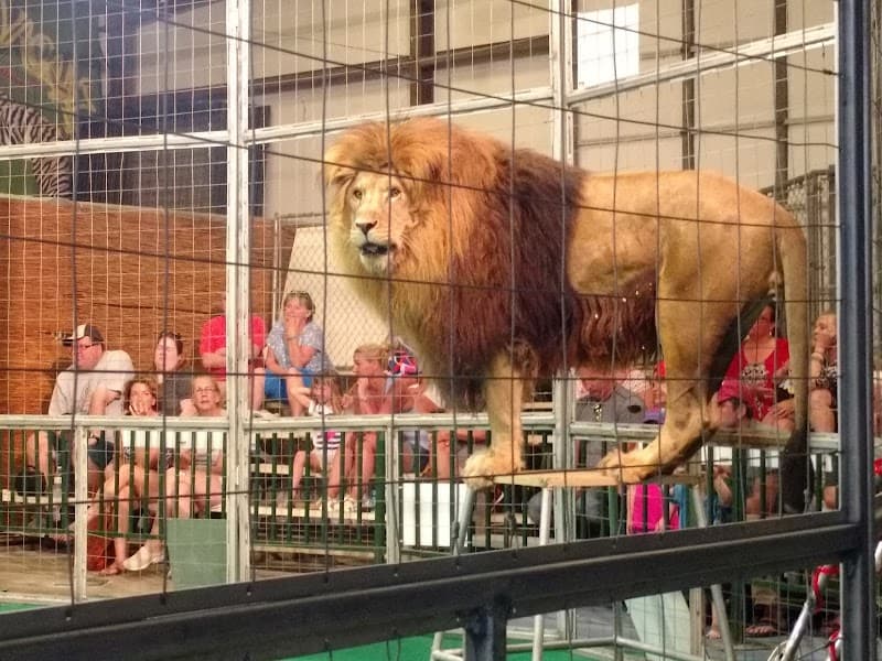 Big Cat Habitat & Gulf Coast Sanctuary
