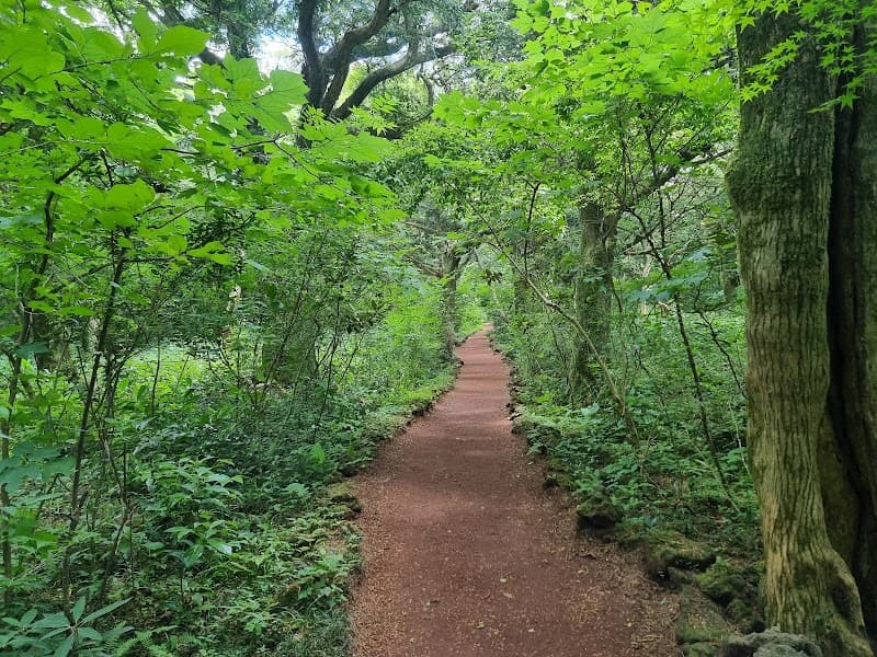 Bijarim Forest