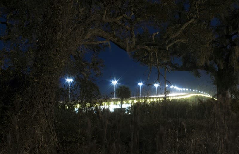 Biloxi Bay Bridge Walkway