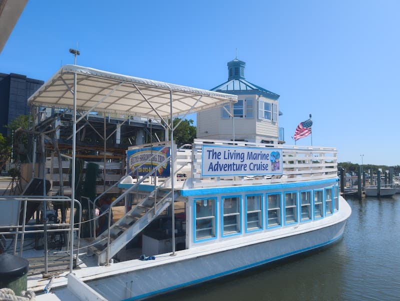 Biloxi Shrimping Trip (Educational Boat Tour)