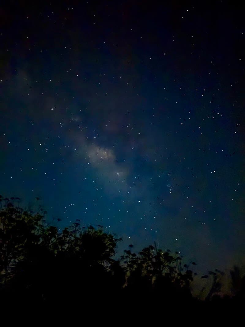 Bioluminescence Beach Experience