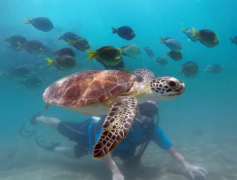 Biosphere Lagoon Snorkel