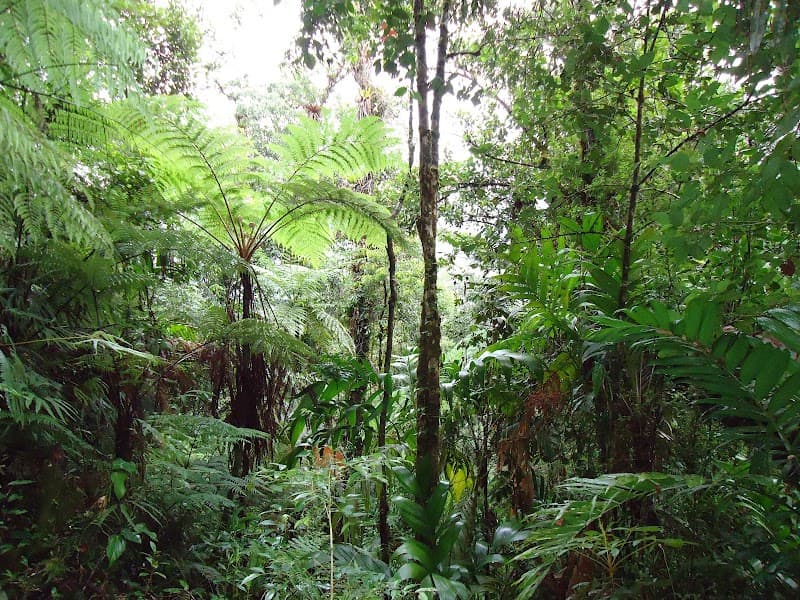 Biotopo del Quetzal Wildlife Reserve