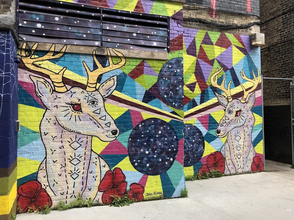 Black Cat Alley Street Art Walk