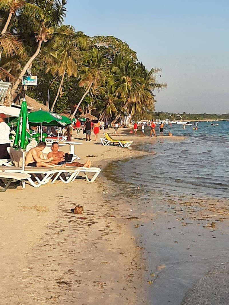 Boca Chica Beach Day Trip