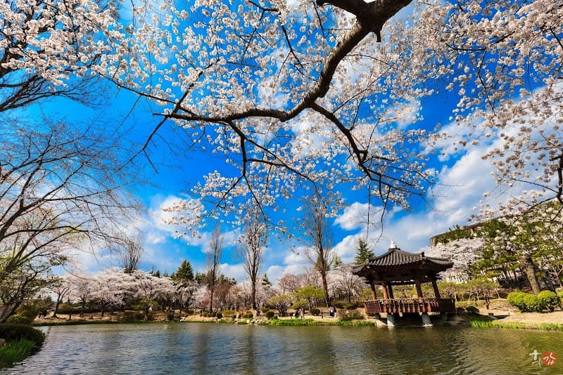 Bomun Lake Resort‑Style Hotel