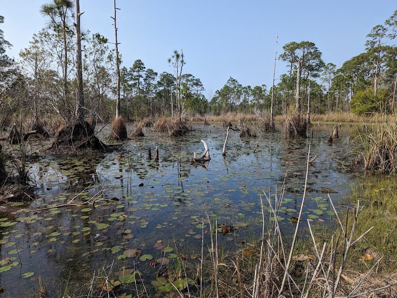 Bon Secour National Wildlife Refuge Trails
