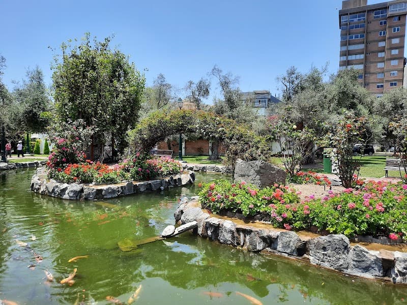 Bosque El Olivar (El Olivar Park)