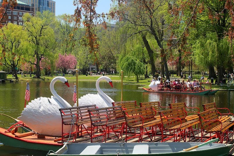 Boston Public Garden & Swan Boats