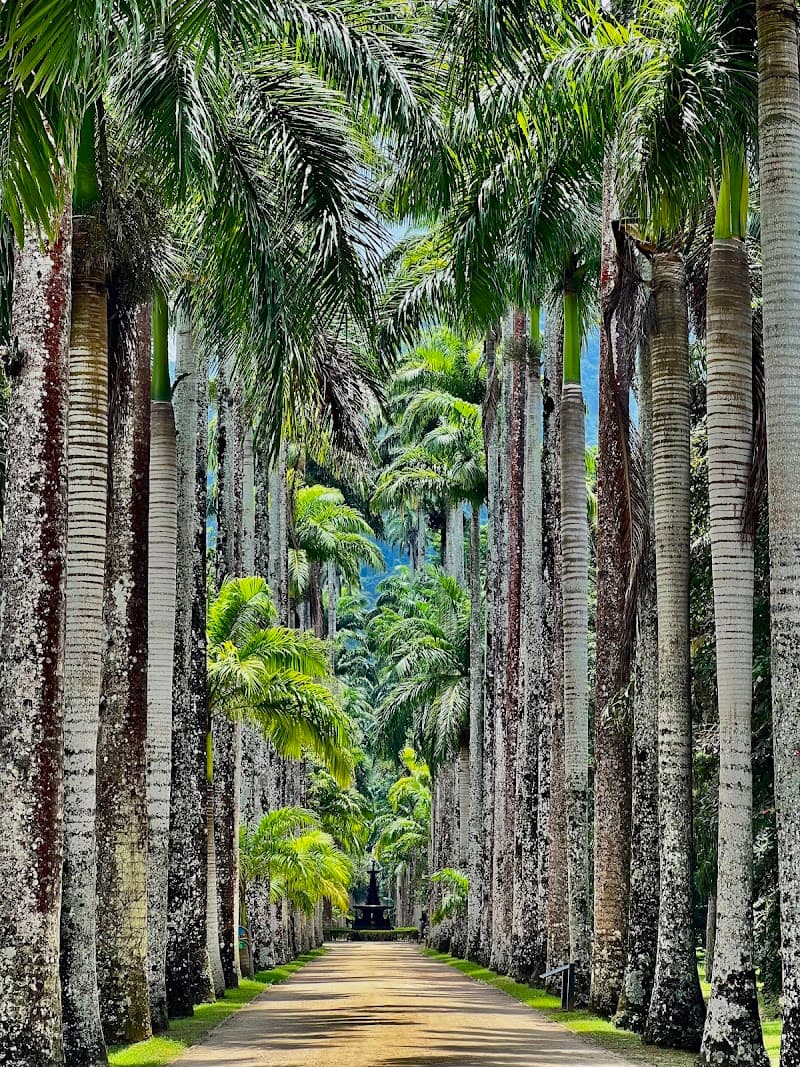 Botanical Garden (Jardim Botânico) — Morning Nature Immersion