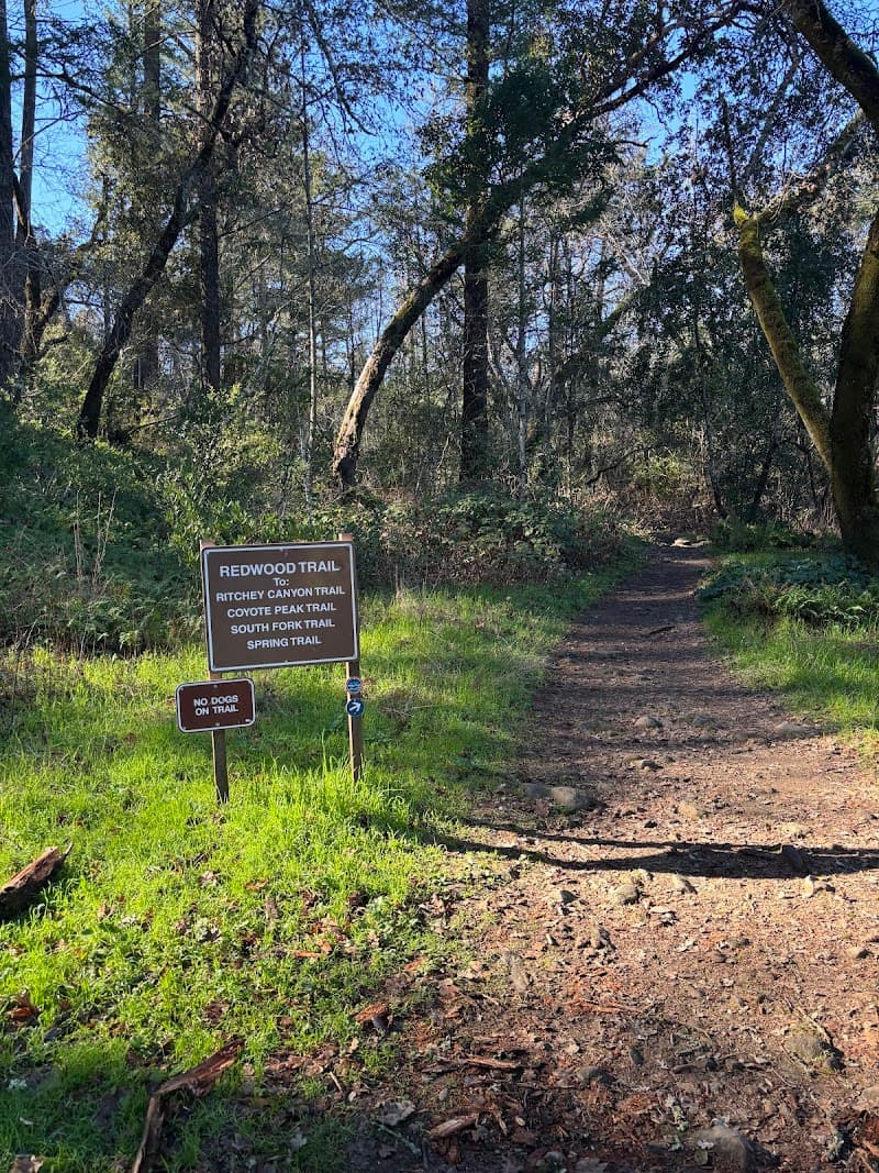 Bothe-Napa Park Hike