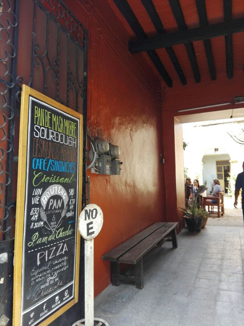Oaxaca Wild Greens & Hidden Courtyards Food Escape