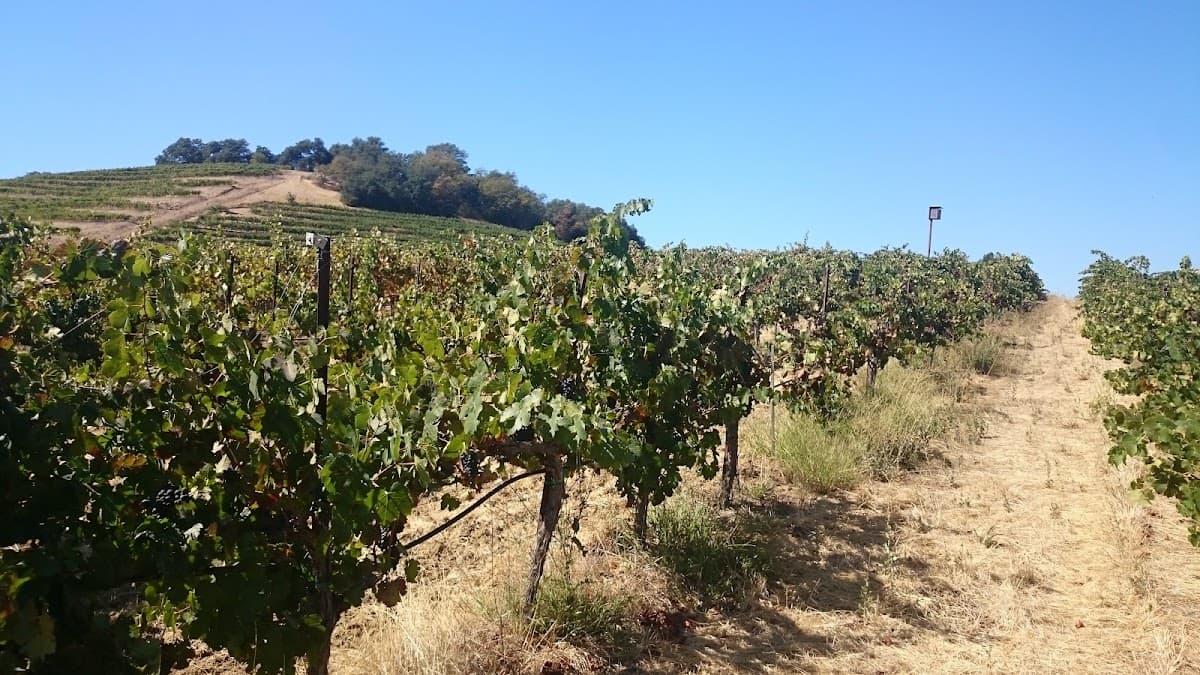 Brooklyn West Winery Tasting