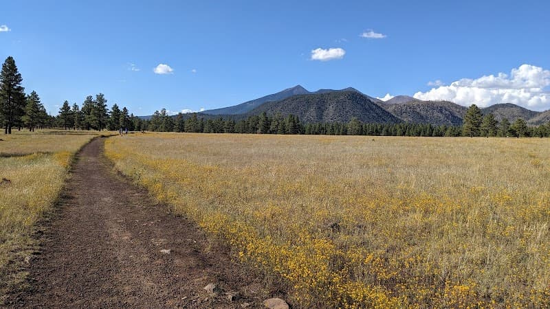 Buffalo Park Forest Loop