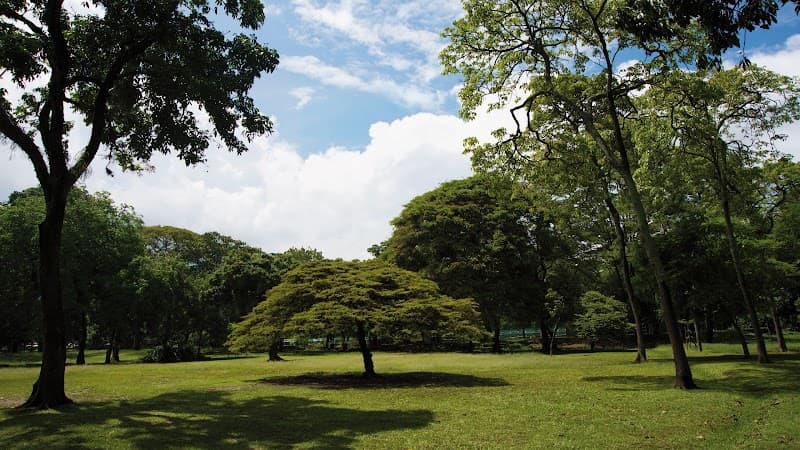 Café Botánico Jardín Botánico