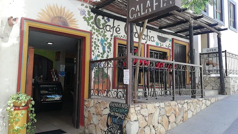 Romantic Jungle‑Vibes Getaway in San José del Cabo