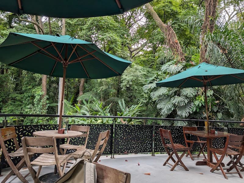 Café del Bosque (inside Jardín Botánico)