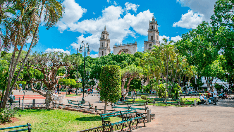Café Montejo (Near Plaza Grande)