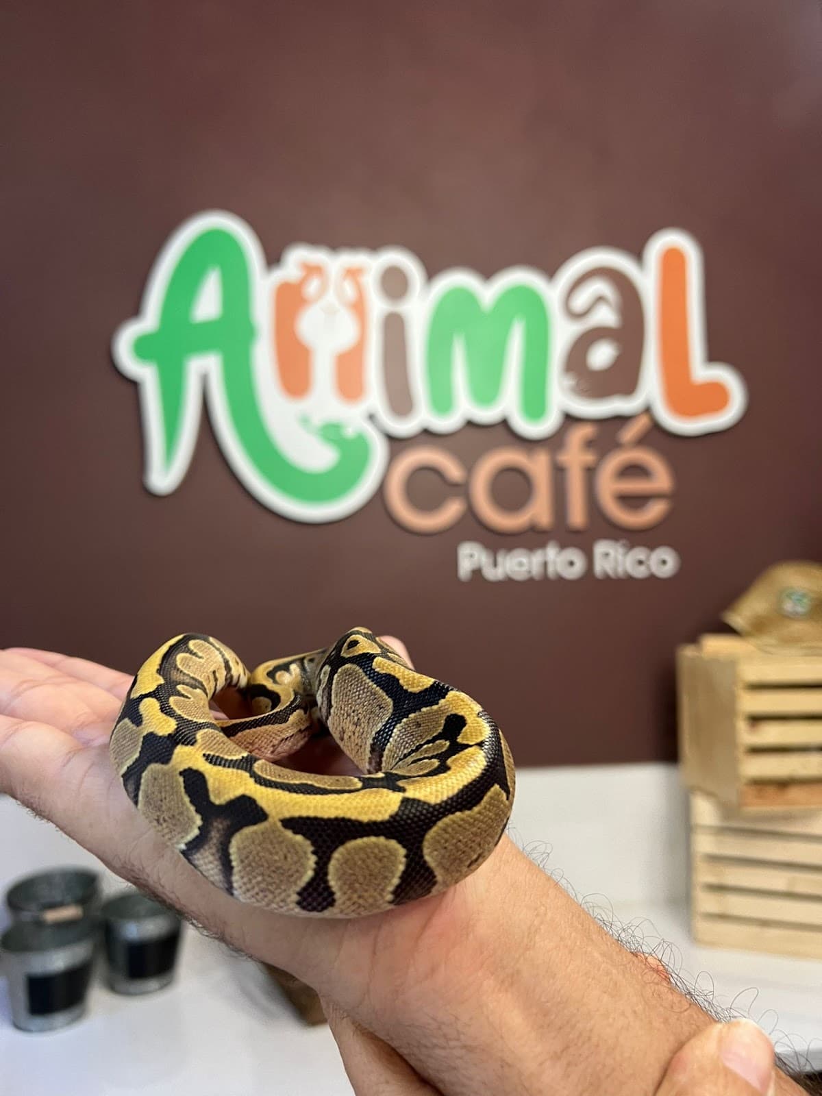 Puerto Rico