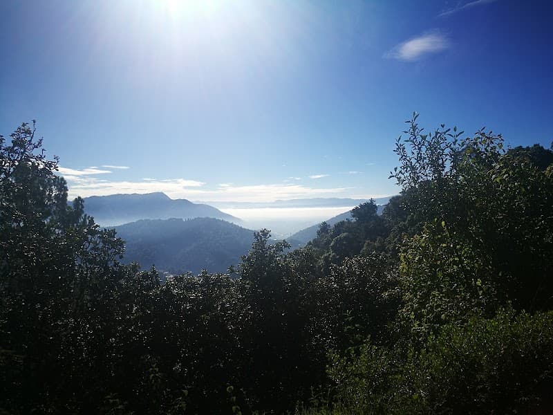 Cafetería Mirador