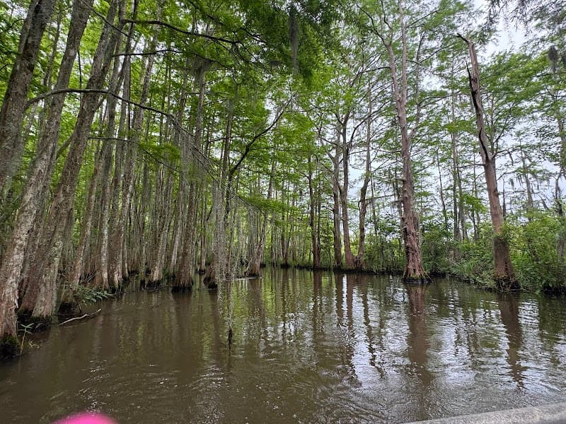 Cajun Encounters Kayak Tour
