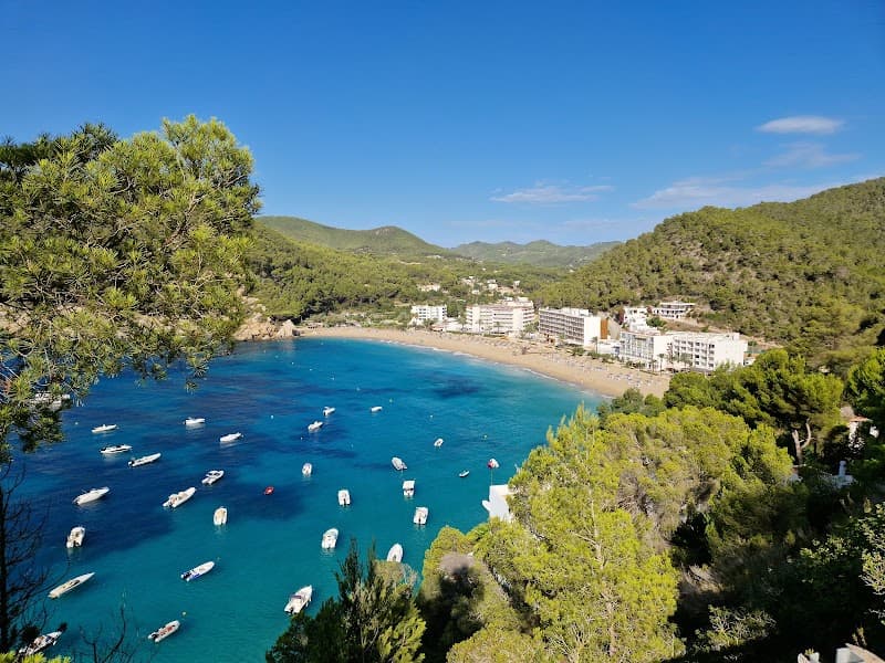 Cala Sant Vicent Beach & Promenade