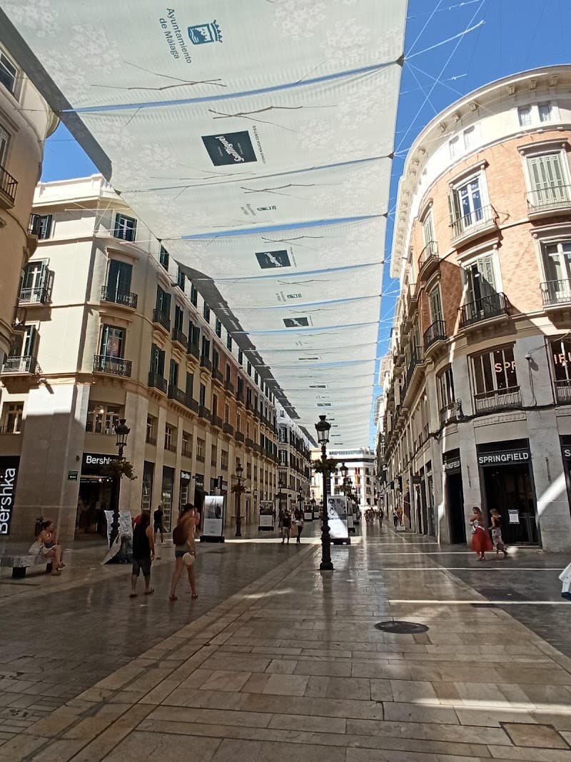 Calle Marqués de Larios & Centro Histórico Stroll