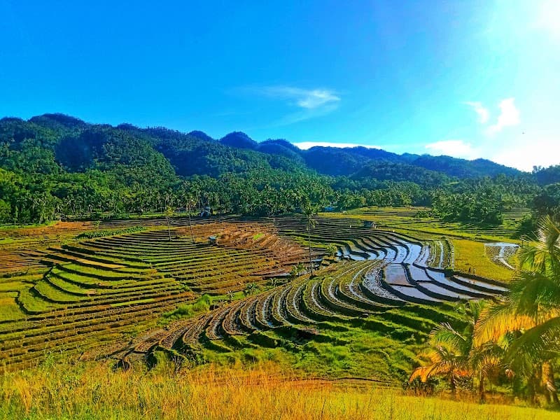 Candijay Rice Terraces