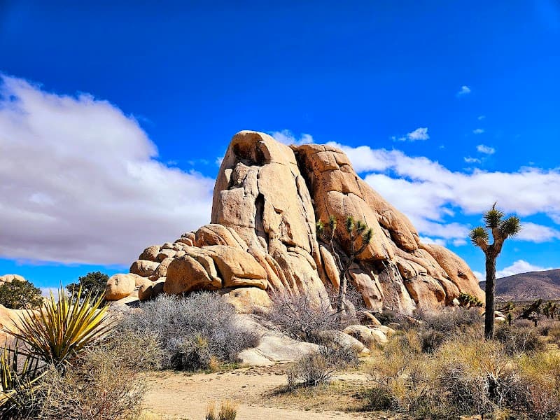 Cap Rock Stargaze
